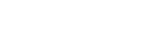 Dirdy Birdy